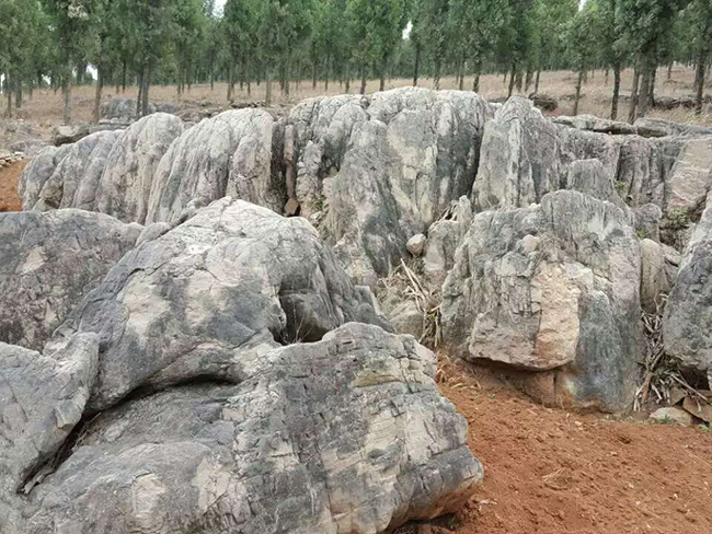 莲花石假山流水