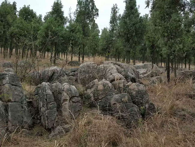 莲花石假山流水